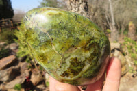 Polished Green Opal Standing Free Forms  x 6 From Madagascar - Toprock Gemstones and Minerals 