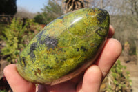Polished Green Opal Standing Free Forms  x 6 From Madagascar - Toprock Gemstones and Minerals 