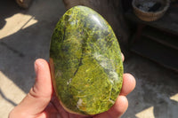 Polished Green Opal Standing Free Forms  x 6 From Madagascar - Toprock Gemstones and Minerals 