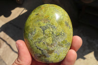 Polished Green Opal Standing Free Forms  x 6 From Madagascar - Toprock Gemstones and Minerals 
