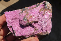Natural Pink Salrose Cobaltion Dolomite Specimens x 4 From Kakanda, Congo - Toprock Gemstones and Minerals 