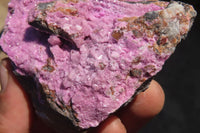 Natural Pink Salrose Cobaltion Dolomite Specimens x 4 From Kakanda, Congo - Toprock Gemstones and Minerals 