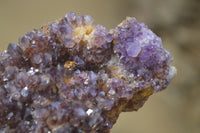 Natural Dark Amethyst Crystal Plates x 6 From Kwaggafontein, South Africa - Toprock Gemstones and Minerals 