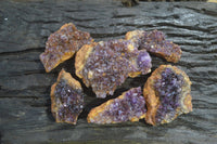 Natural Dark Amethyst Crystal Plates x 6 From Kwaggafontein, South Africa - Toprock Gemstones and Minerals 