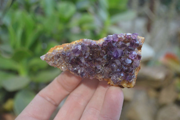 Natural Dark Amethyst Crystal Plates x 6 From Kwaggafontein, South Africa - Toprock Gemstones and Minerals 
