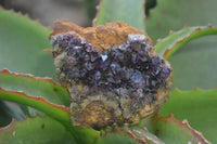 Natural Dark Amethyst Crystal Plates x 6 From Kwaggafontein, South Africa - Toprock Gemstones and Minerals 
