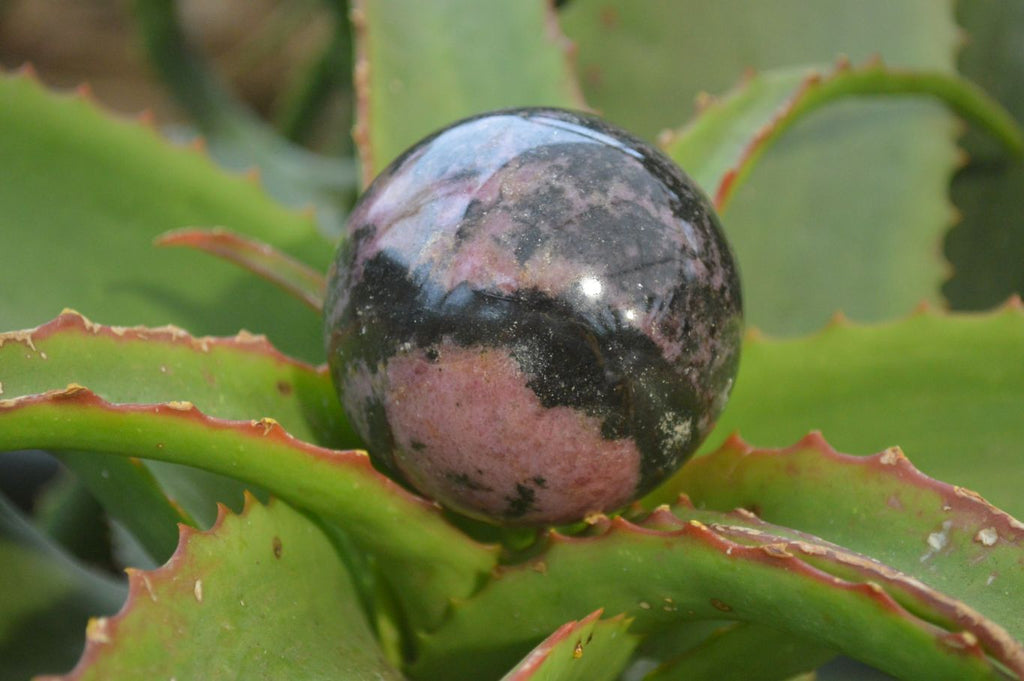 Polished Rhodonite Spheres  x 4 From Ambindavato, Madagascar - Toprock Gemstones and Minerals 
