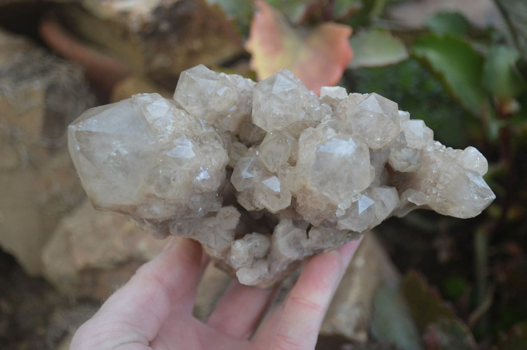 Natural Cascading Smokey Quartz Clusters x 2 From Luena, Congo - Toprock Gemstones and Minerals 