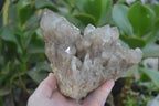 Natural Cascading Smokey Quartz Clusters x 2 From Luena, Congo - Toprock Gemstones and Minerals 