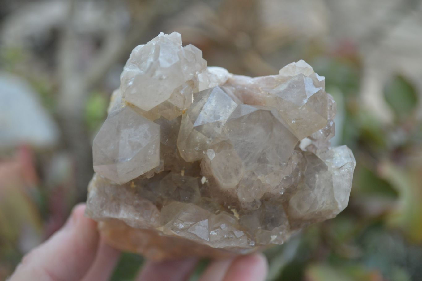 Natural Cascading Smokey Quartz Clusters x 2 From Luena, Congo - Toprock Gemstones and Minerals 