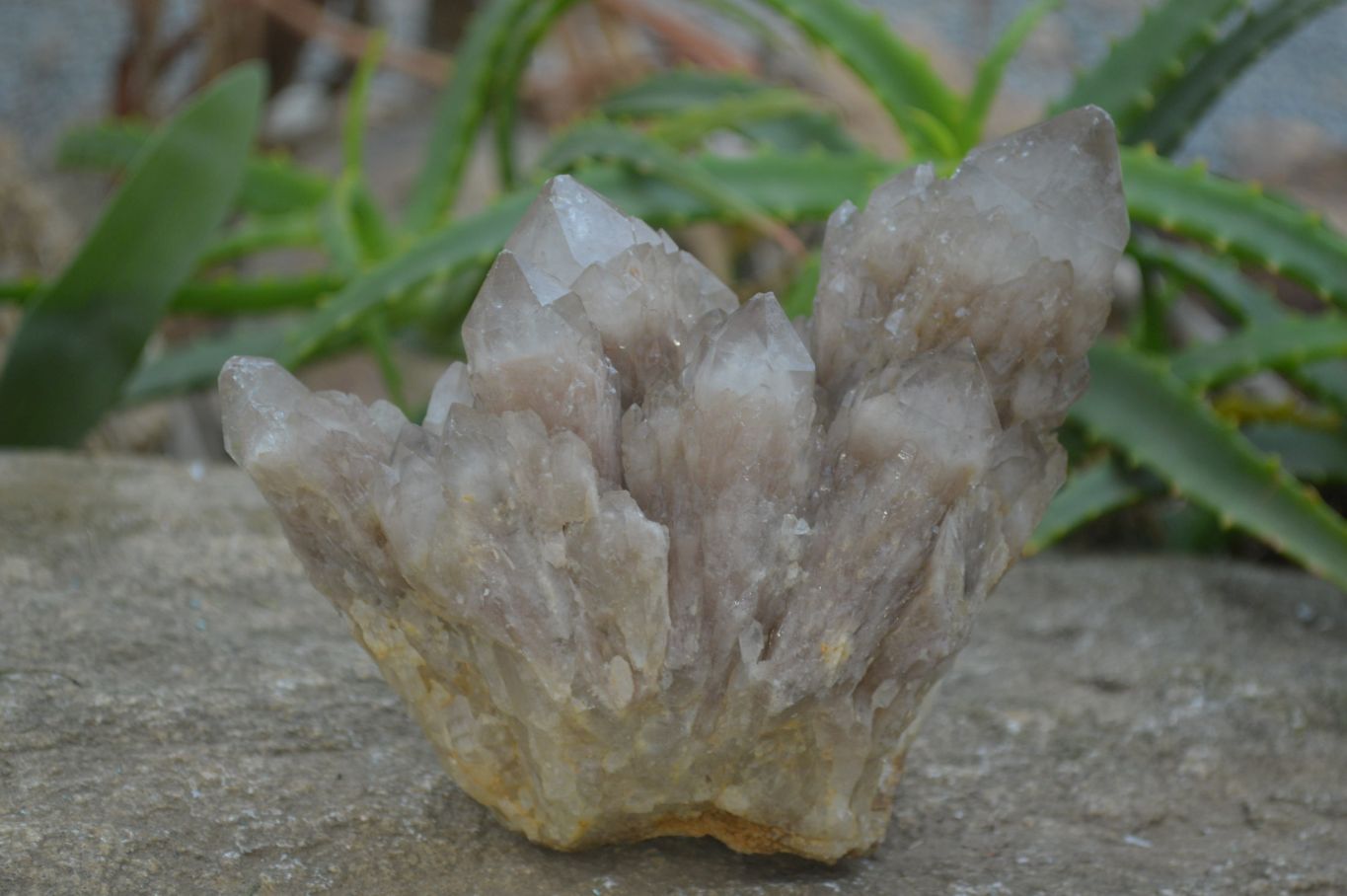 Natural Cascading Smokey Quartz Clusters x 2 From Luena, Congo - Toprock Gemstones and Minerals 