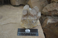 Natural Cascading Smokey Quartz Clusters x 2 From Luena, Congo - Toprock Gemstones and Minerals 
