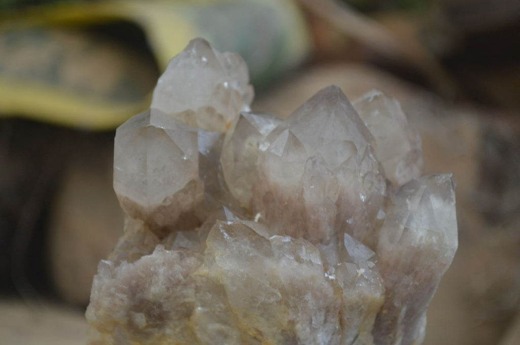 Natural Cascading Smokey Quartz Clusters x 2 From Luena, Congo - Toprock Gemstones and Minerals 