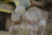 Natural Cascading Smokey Quartz Clusters x 2 From Luena, Congo - Toprock Gemstones and Minerals 