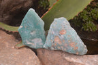 Polished On One Side Emerald Mtorolite Plates x 12 From Mutorashanga, Zimbabwe - Toprock Gemstones and Minerals 