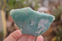 Polished On One Side Emerald Mtorolite Plates x 12 From Mutorashanga, Zimbabwe - Toprock Gemstones and Minerals 