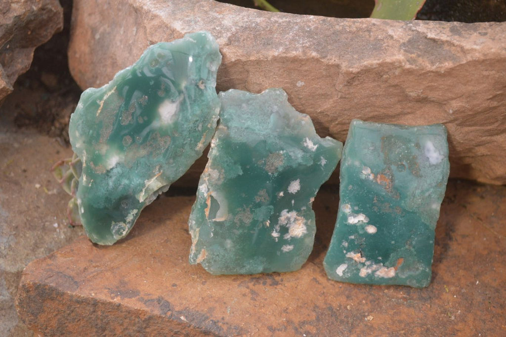 Polished On One Side Emerald Mtorolite Plates x 12 From Mutorashanga, Zimbabwe - Toprock Gemstones and Minerals 