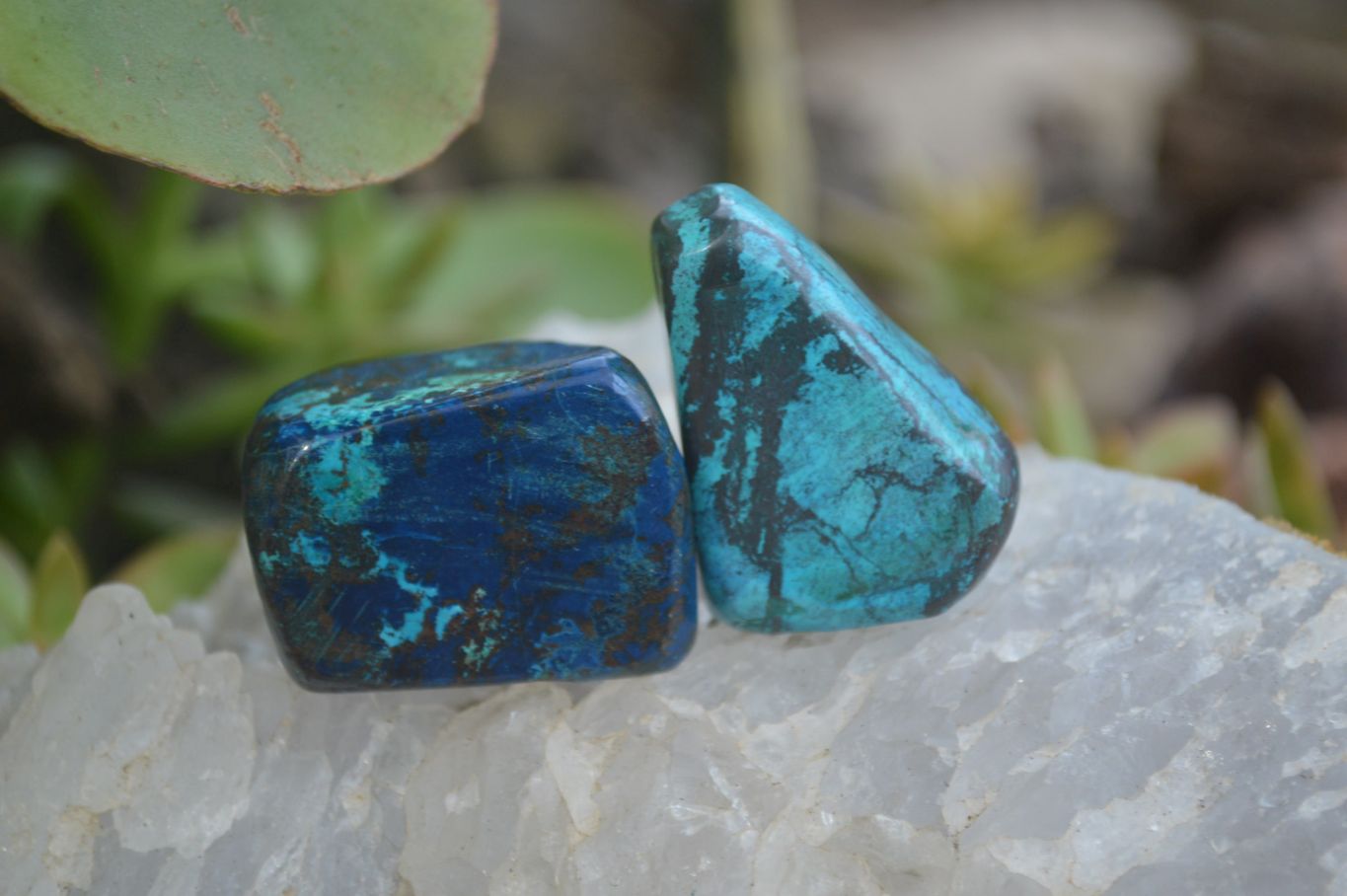 Polished Mini Shattuckite Free Forms x 20 From Congo - Toprock Gemstones and Minerals 