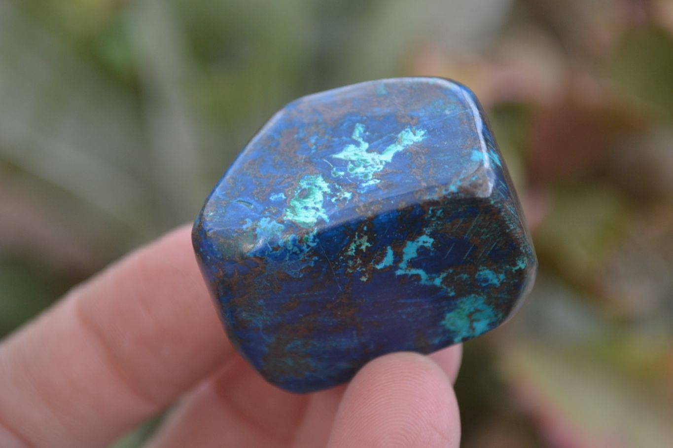 Polished Mini Shattuckite Free Forms x 20 From Congo - Toprock Gemstones and Minerals 