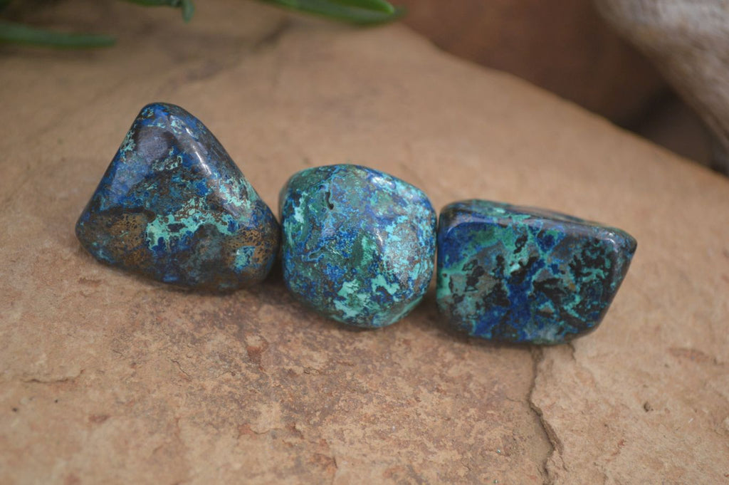 Polished Mini Shattuckite Free Forms x 20 From Congo - Toprock Gemstones and Minerals 