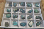 Polished Mini Shattuckite Free Forms x 20 From Congo - Toprock Gemstones and Minerals 