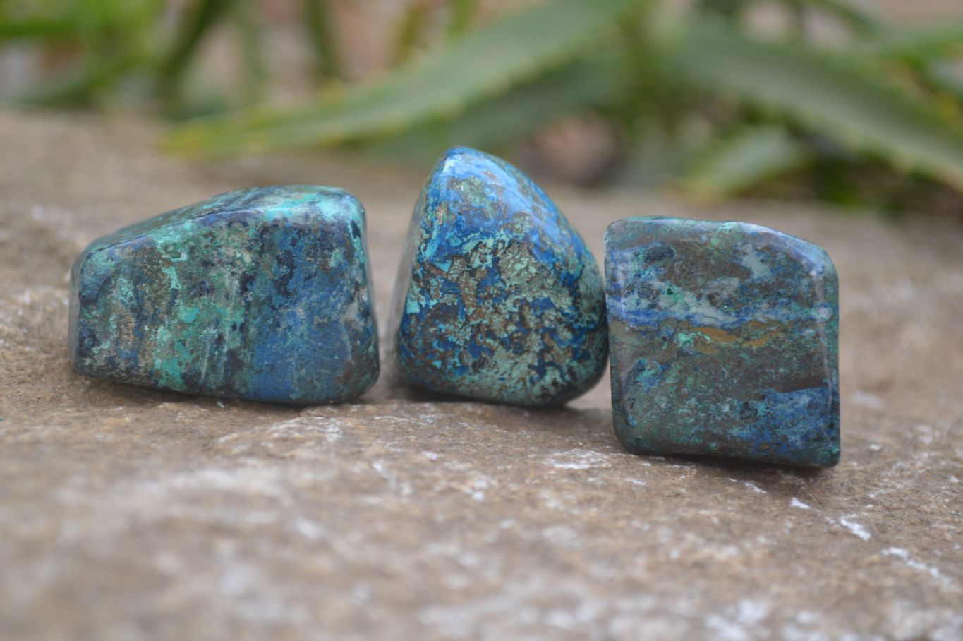Polished Mini Shattuckite Free Forms x 20 From Congo - Toprock Gemstones and Minerals 