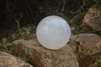 Polished Extra Large Girasol Pearl Quartz Ball  x 1 From Madagascar - Toprock Gemstones and Minerals 