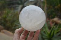 Polished Extra Large Girasol Pearl Quartz Ball  x 1 From Madagascar - Toprock Gemstones and Minerals 