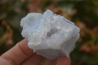 Natural Etched Blue Chalcedony Specimens  x 12 From Malawi - Toprock Gemstones and Minerals 