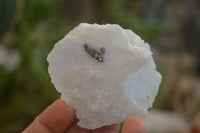 Natural Etched Blue Chalcedony Specimens  x 12 From Malawi - Toprock Gemstones and Minerals 