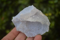 Natural Etched Blue Chalcedony Specimens  x 12 From Malawi - Toprock Gemstones and Minerals 