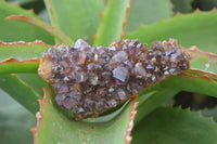 Natural Dark Amethyst Crystal Plates x 6 From Kwaggafontein, South Africa - Toprock Gemstones and Minerals 