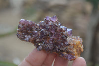Natural Dark Amethyst Crystal Plates x 6 From Kwaggafontein, South Africa - Toprock Gemstones and Minerals 