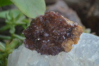 Natural Dark Amethyst Crystal Plates x 6 From Kwaggafontein, South Africa - Toprock Gemstones and Minerals 