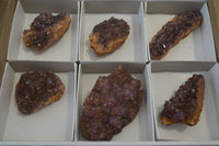 Natural Dark Amethyst Crystal Plates x 6 From Kwaggafontein, South Africa - Toprock Gemstones and Minerals 