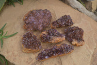 Natural Dark Amethyst Crystal Plates x 6 From Kwaggafontein, South Africa - Toprock Gemstones and Minerals 