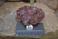 Natural Dark Amethyst Crystal Plates x 6 From Kwaggafontein, South Africa - Toprock Gemstones and Minerals 