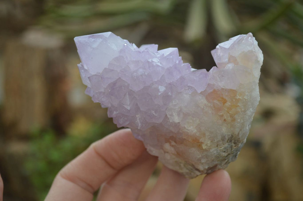 Natural Spirit Amethyst Cactus Quartz Clusters x 6 From Boekenhouthoek, South Africa - Toprock Gemstones and Minerals 