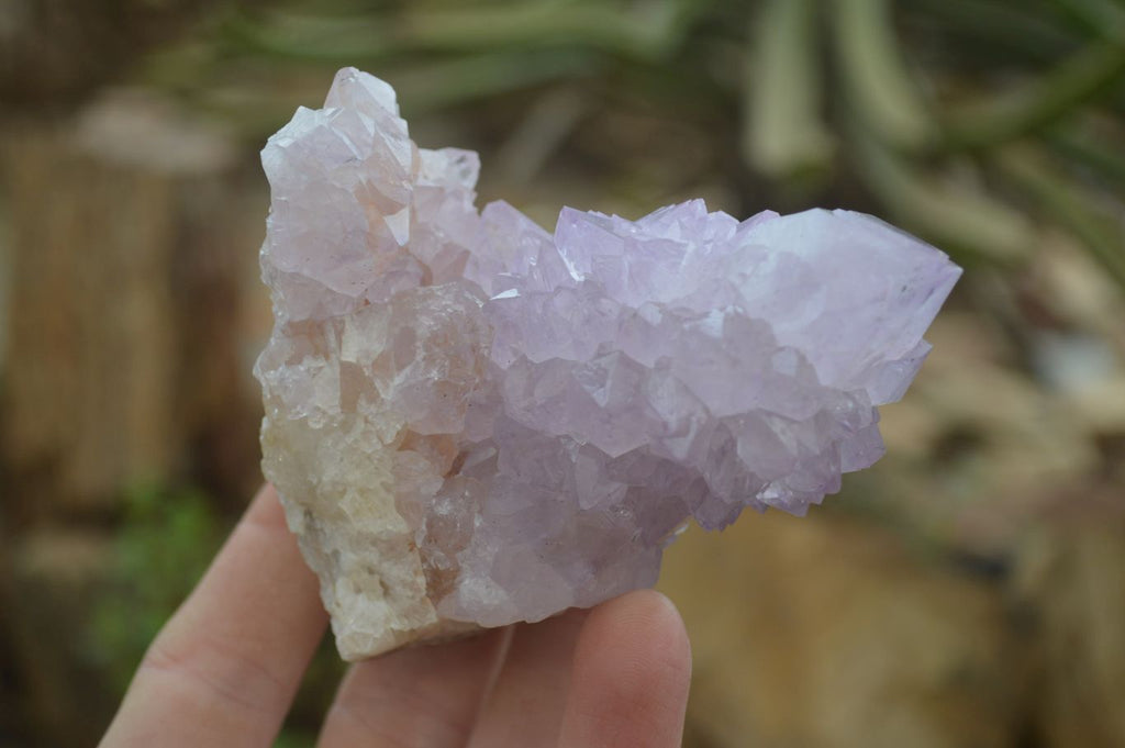 Natural Spirit Amethyst Cactus Quartz Clusters x 6 From Boekenhouthoek, South Africa - Toprock Gemstones and Minerals 