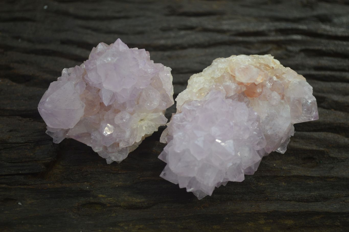 Natural Spirit Amethyst Cactus Quartz Clusters x 6 From Boekenhouthoek, South Africa - Toprock Gemstones and Minerals 