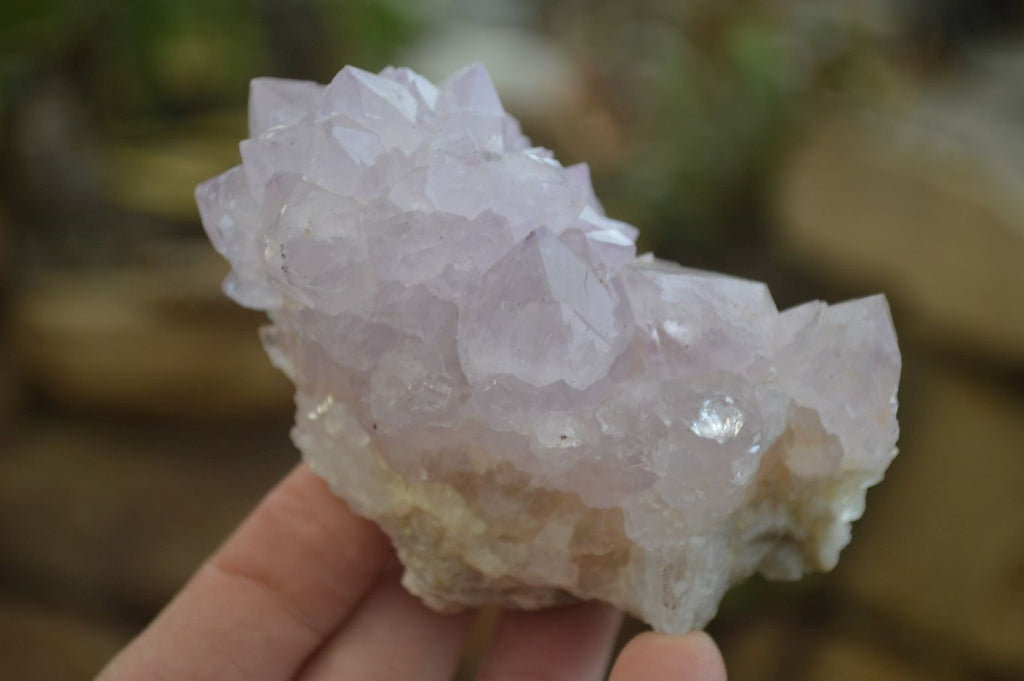 Natural Spirit Amethyst Cactus Quartz Clusters x 6 From Boekenhouthoek, South Africa - Toprock Gemstones and Minerals 