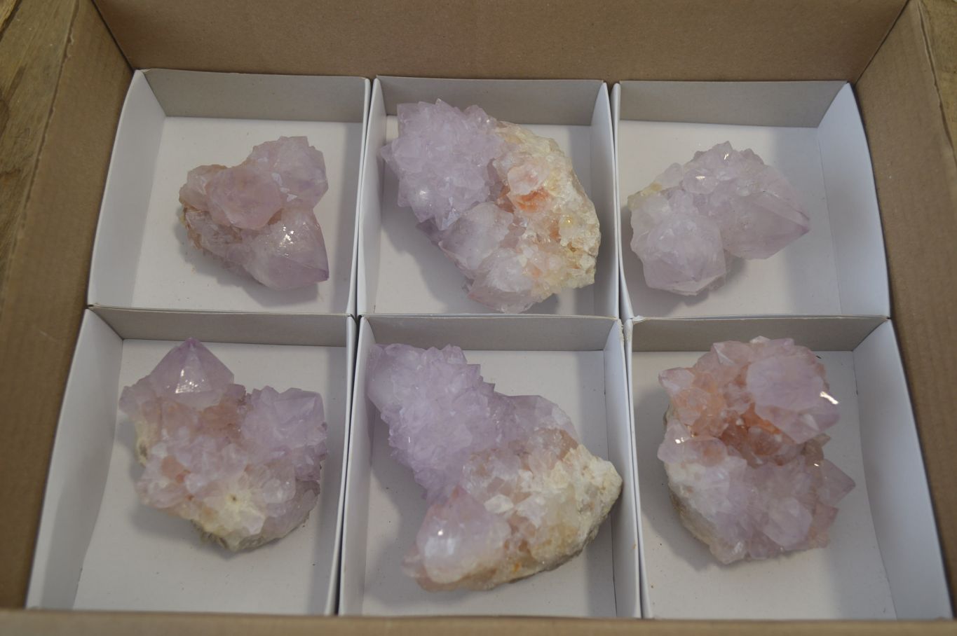 Natural Spirit Amethyst Cactus Quartz Clusters x 6 From Boekenhouthoek, South Africa - Toprock Gemstones and Minerals 