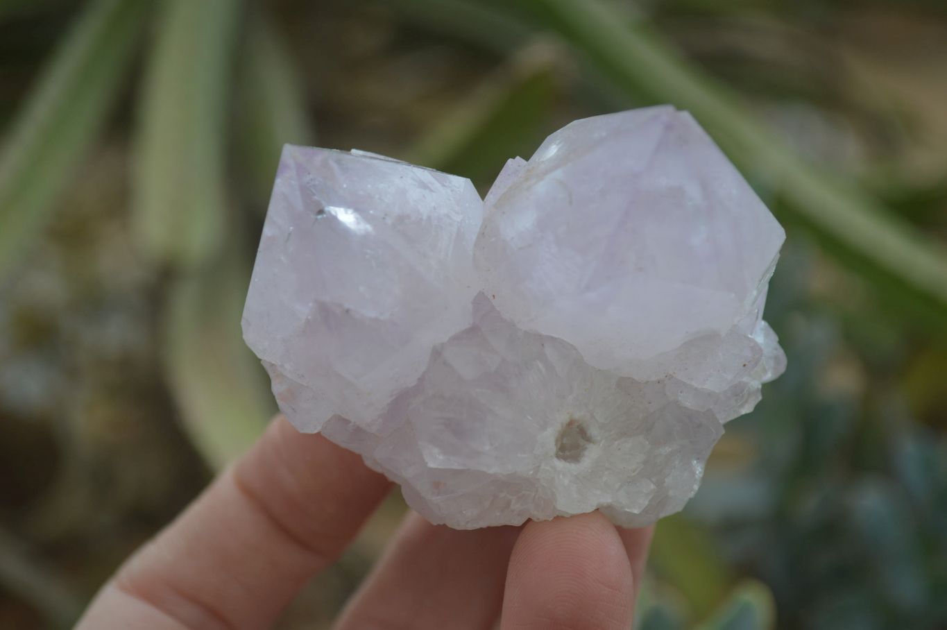 Natural Spirit Amethyst Cactus Quartz Clusters x 6 From Boekenhouthoek, South Africa - Toprock Gemstones and Minerals 
