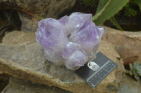 Natural Jacaranda Amethyst Clusters x 2 From Zambia - Toprock Gemstones and Minerals 