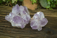 Natural Jacaranda Amethyst Clusters x 2 From Zambia - Toprock Gemstones and Minerals 