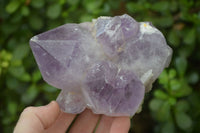 Natural Jacaranda Amethyst Clusters x 2 From Zambia - Toprock Gemstones and Minerals 