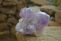 Natural Jacaranda Amethyst Clusters x 2 From Zambia - Toprock Gemstones and Minerals 