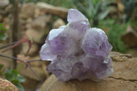 Natural Jacaranda Amethyst Clusters x 2 From Zambia - Toprock Gemstones and Minerals 