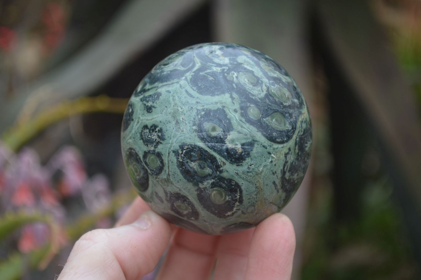 Polished Stromatolite Spheres  x 4 From Katsepy, Madagascar - Toprock Gemstones and Minerals 