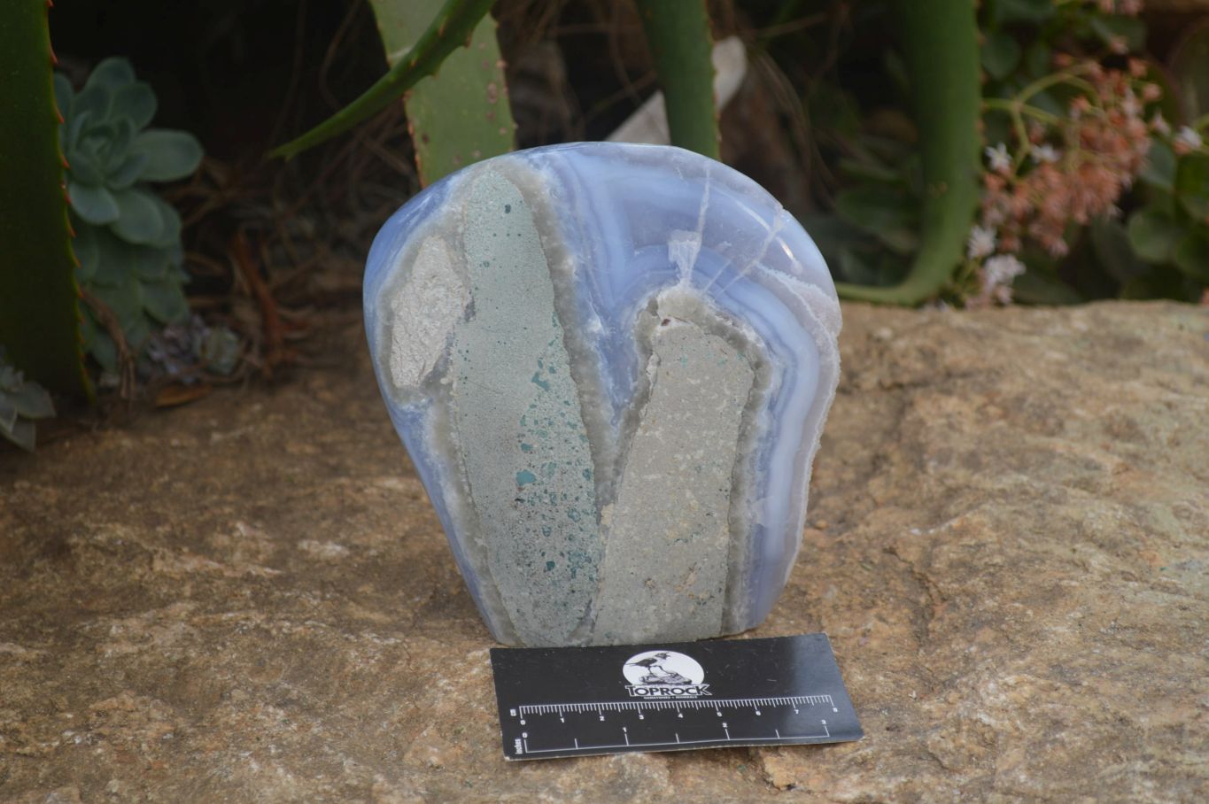 Polished Extra Large Blue Lace Agate Standing Free Form  x 1 From Malawi - Toprock Gemstones and Minerals 